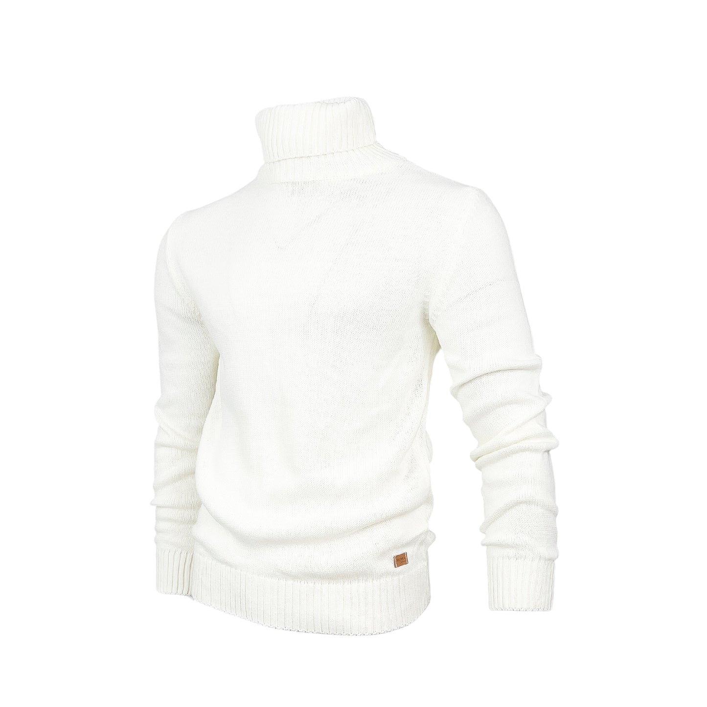 Men Regular fit Polo-necks